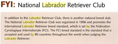 In addition to the Labrador Retriever Club, there is another national breed club. The National Labrador Retriever Club was organized in 1996 and promotes the international Labrador Retriever breed standard, which is set by the Federation Cynologique Internationale (FCI). The FCI breed standard is the standard that is accepted and used by 80 countries throughout the world when judging the Labrador Retriever.